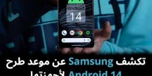 تكشف Samsung عن موعد طرح Android 14 لأجهزتها - نبض مصر