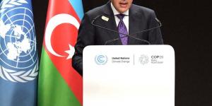 مؤتمر"COP29".. ماذا قالت مصر في برنامج الكلمات العامة لقادة العالم ورؤساء الحكومات؟ - نبض مصر