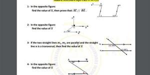 مراجعات نهائية.. أسئلة تقييم الأسبوع التاسع الرياضيات math لـ الصف الأول الإعدادي - نبض مصر