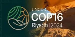 إطلاق نظامي مراقبة الجفاف والتوقعات شبه الفصلية ضمن فعاليات مؤتمر "COP16" - نبض مصر