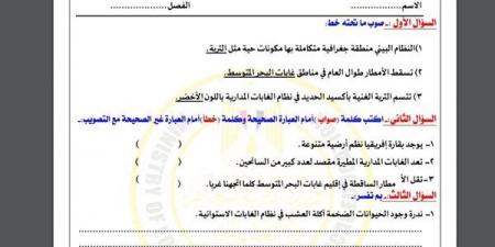 مراجعات نهائية.. أسئلة تقييم الأسبوع التاسع الدراسات الاجتماعية لـ الصف الأول الإعدادي - نبض مصر