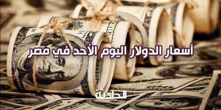 سعر الدولار اليوم الأحد 17 نوفمبر 2024 في البنوك.. 49.31 شراء - نبض مصر