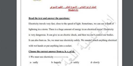 مراجعات نهائية.. أسئلة تقييم الاسبوع العاشر في اللغة الإنجليزية الصف الرابع الابتدائي - نبض مصر