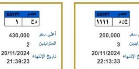 أسعار اللوحات المعدنية المميزة تصل لأكثر من نصف مليون جنيه - نبض مصر