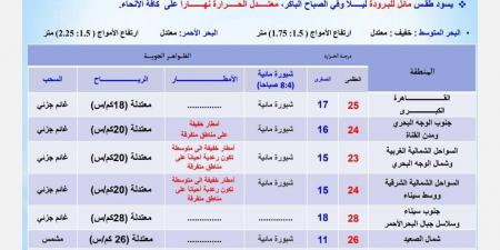 الأرصاد الجوية تعلن حالة الطقس الأربعاء 20 نوفمبر 2024 - نبض مصر