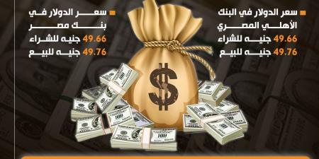 سعر الدولار اليوم الخميس في مصر .. الاستقرار يسيطر على آخر تحديث - نبض مصر