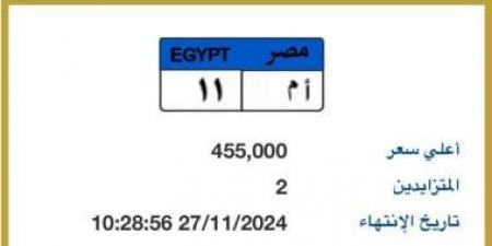 بنص مليون جنيه.. تفاصيل المزاد على لوحة معدنية مميزة - نبض مصر