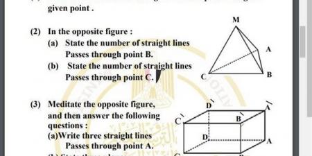 مراجعات نهائية.. أسئلة تقييم الأسبوع العاشر الرياضيات البحتة Math الصف الثاني الثانوي - نبض مصر