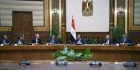 الرئيس السيسي: مصر بذلت جهودًا مكثفة على مدار عشر سنوات لتطوير الصناعة - نبض مصر