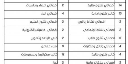 التفاصيل كامله.. جامعة المنصورة تعلن حاجتها إلى وظائف جديدة شاغرة في 92 تخصصا.. وظيفة جامعه - نبض مصر