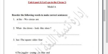 مراجعات نهائية.. أسئلة تقييم الاسبوع الـ 13 في اللغة الإنجليزية الصف الثالث الابتدائي - نبض مصر