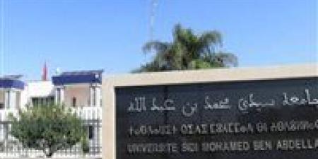 جامعة سيدي محمد بن عبدالله بالمغرب تتوج بالجائزة الدولية للابتكار الألماني-الأفريقي - نبض مصر