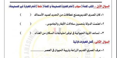 مراجعات نهائية.. أسئلة تقييم الاسبوع الـ 13 في الدراسات الاجتماعية لـ الصف الخامس الابتدائي - نبض مصر