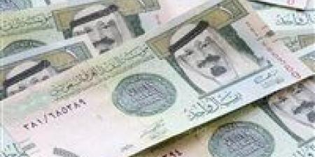 سعر الريال السعودى مقابل الجنيه المصري 16-12-2024 - نبض مصر