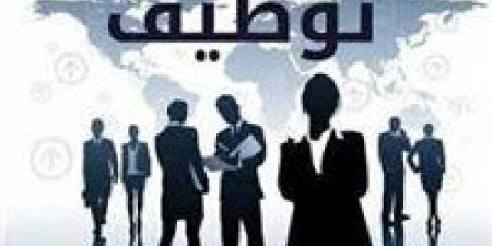 فرص عمل.. محافظة القاهرة تنظم ملتقى توظيف بمدينة نصر - نبض مصر