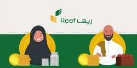 كيف أعرف أني أستحق دعم ريف؟ استفسارك عن دعم ريف يبدأ هنا شروط الاستحقاق والخطوات وكيفية الاستعلام - نبض مصر