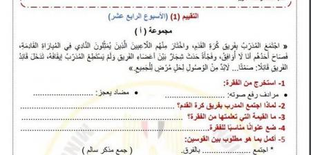 مراجعات نهائية.. لطلاب الصف الرابع الابتدائي.. أسئلة تقييم الاسبوع الـ 14 في اللغة العربية - نبض مصر