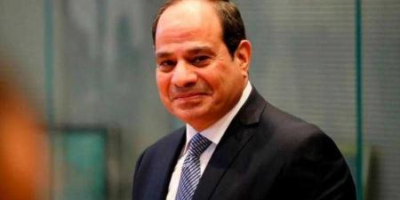 السيسي يعلن تدشين اجتماعات دورية لوزراء الصحة بدول منظمة الثماني النامية للتعاون الاقتصادي - نبض مصر