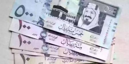 سعر الريال السعودي مقابل الجنيه المصري اليوم الجمعة 20 ديسمبر 2024 - نبض مصر