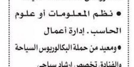 التفاصيل كامله.. المعهد العالي للدراسات النوعية يعلن حاجته إلى أعضاء هيئة التدريس.. وظيفة جامعه - نبض مصر