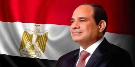 السيسي يكشف حاجة الدولة المصرية إلى 2 مليار دولار كمصروفات سنوية - نبض مصر