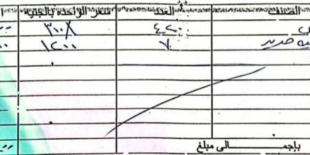 المصري يرفض سداد قيمة تلفيات ملعب برج العرب في مباراة الأهلي  - نبض مصر