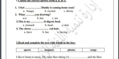 مراجعات نهائية.. لطلاب الصف الثالث الابتدائي.. أسئلة تقييم الاسبوع الـ 15 في اللغة الإنجليزية - نبض مصر