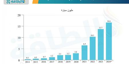 أسواق السيارات الكهربائية في 2024.. عام التحديات والصدمات - نبض مصر