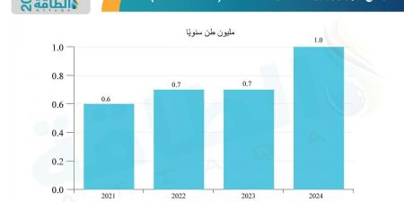 مشروعات الهيدروجين في 2024.. زخم متصاعد مع ضعف الالتزامات الاستثمارية - نبض مصر