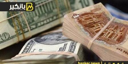 سعر الدولار أمام الجنيه المصري في تعاملات اليوم الأحد 29-12-2024 - نبض مصر