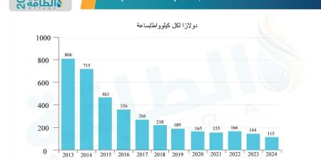 صناعة بطاريات السيارات الكهربائية في 2024.. عام من الانتكاسات والإرجاءات المتتالية - نبض مصر