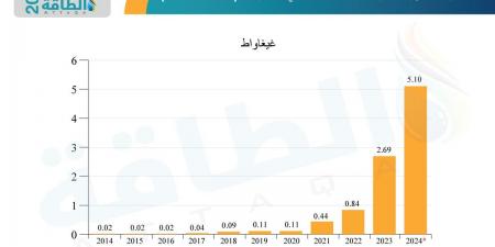 الطاقة المتجددة في المنطقة العربية 2024.. مشروعات ضخمة بـ3 دول وانطلاقة قوية للجزائر - نبض مصر