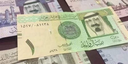 سعر الريال السعودي اليوم الأحد 29-12-2024 في البنك المركزي المصري - نبض مصر