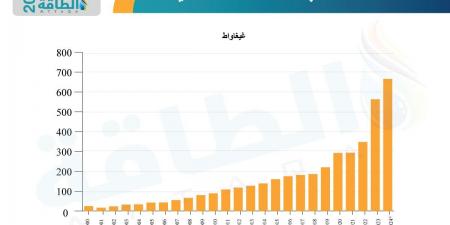 قطاع الطاقة المتجددة في 2024.. طفرة قياسية وتوقعات طموحة - نبض مصر