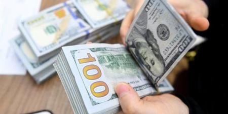 سعر الدولار اليوم الأحد 29-12-2024 في البنك المركزي المصري - نبض مصر