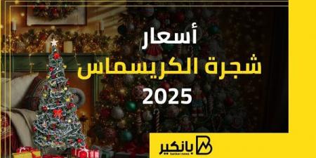 أسعار شجرة الكريسماس 2025 - نبض مصر