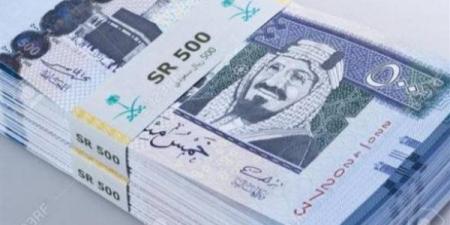 سعر الريال السعودي أمام الجنيه المصري في تعاملات اليوم الثلاثاء 31-12-2024 - نبض مصر