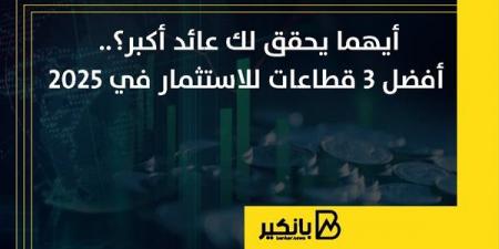 أيهما يحقق لك عائد أكبر؟.. أفضل 3 قطاعات للاستثمار في 2025 - نبض مصر