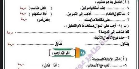 مراجعات نهائية.. ملخص النحو في 7 ورقات بالاجابات لـ الصف الثالث الابتدائي - نبض مصر