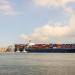 43 ألف طن رصيد صومعة الحبوب والغلال للقطاع العام بميناء دمياط - نبض مصر