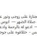 الموت يفجع الفنانة نشوى مصطفى.. تفاصيل - نبض مصر