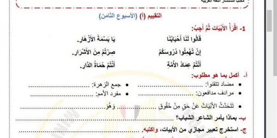 مراجعات نهائية.. أسئلة تقييم الاسبوع الثامن في اللغة العربية الصف الرابع الابتدائي - نبض مصر