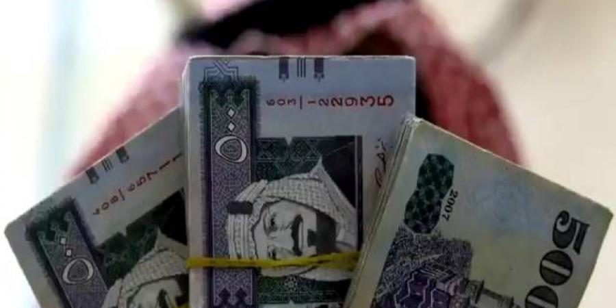 "الأفق التعليمية" تقرر توزيع أرباح مرحلية نقدية بواقع 1.5 ريال للسهم - نبض مصر