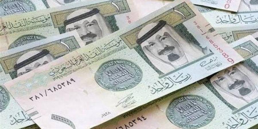 سعر الريال السعودي اليوم مقابل الجنيه.. بكام النهاردة؟ - نبض مصر