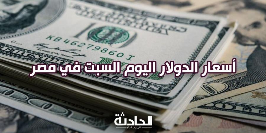 سعر الدولار اليوم السبت 9 نوفمبر 2024.. زاد ولا قلّ؟ - نبض مصر