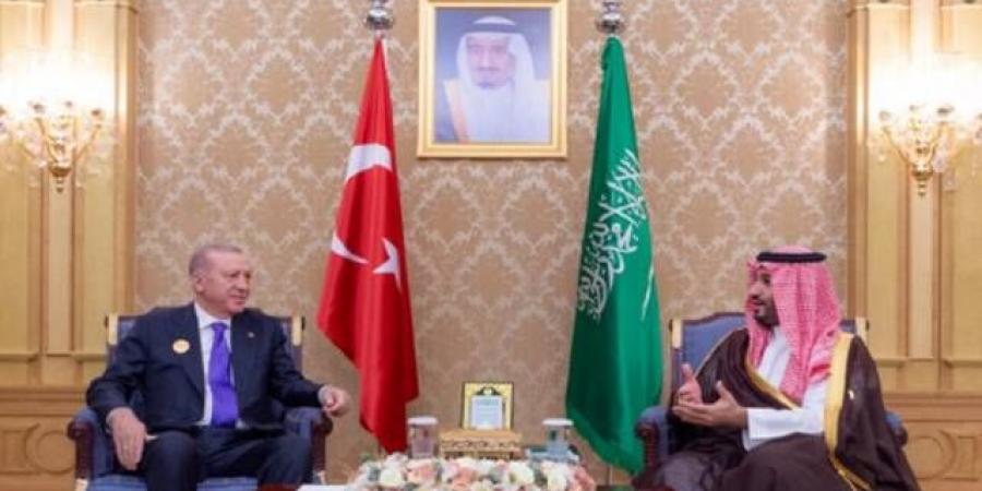 أبرزهم أردوغان والأسد.. ولي العهد يلتقي عدداً من قادة وزعماء قمة الرياض - نبض مصر