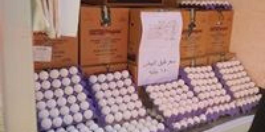 طرح 23 ألف طبق بيض في كفر الشيخ بسعر 150 جنيها