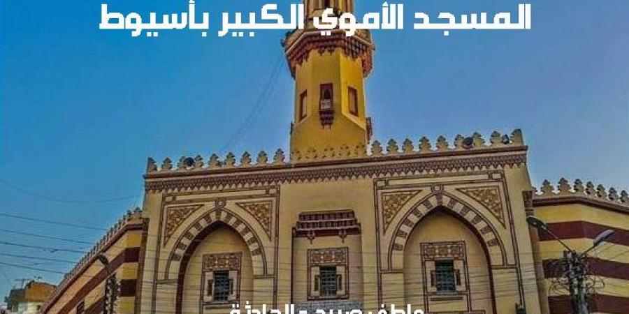 جدول pdf مواقيت الصلاة اليوم الثلاثاء 12-11-2024 حسب موقعك - نبض مصر