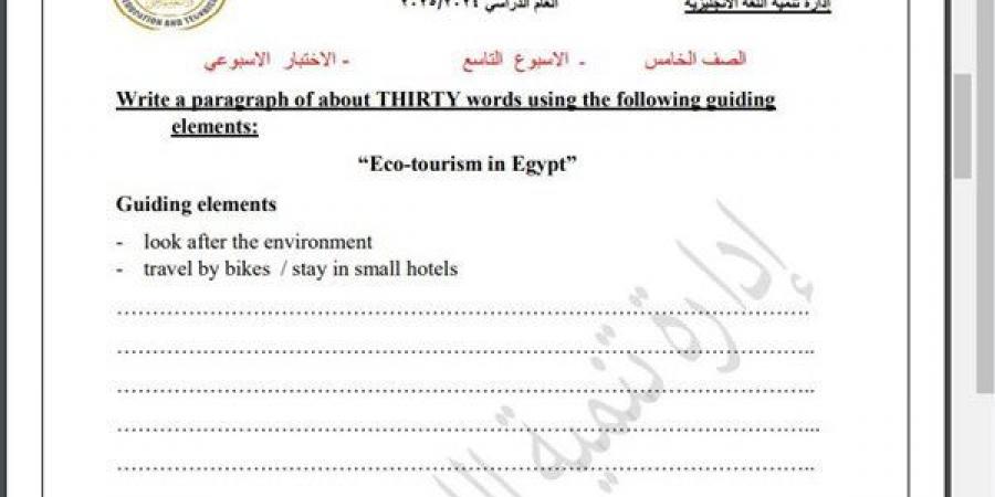 مراجعات نهائية.. أسئلة تقييم الاسبوع التاسع في اللغة الإنجليزية الصف الخامس الابتدائي - نبض مصر