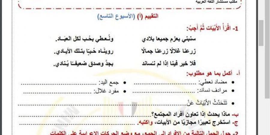 مراجعات نهائية.. أسئلة تقييم الاسبوع التاسع في اللغة العربية الصف الرابع الابتدائي - نبض مصر